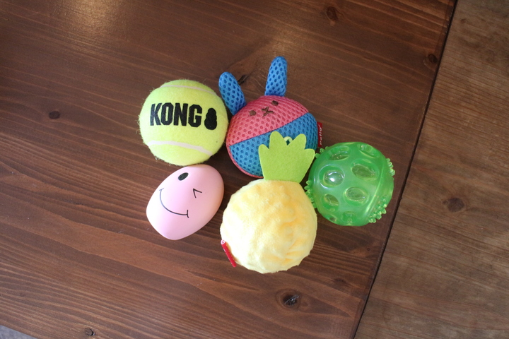 いろんな種類のボールを集めました。右上から時計回りに、うさぎ型の軽いボール、重めのゴムボール、パイナップル型の布製ボール、卵型のボール。硬めのテニスボールです。