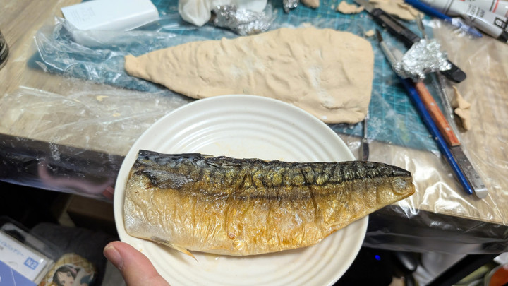 実物の鯖と比較して形のチェック