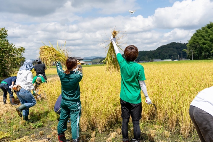 キャプション：2023年9月　収穫イベントの様子（三重県）