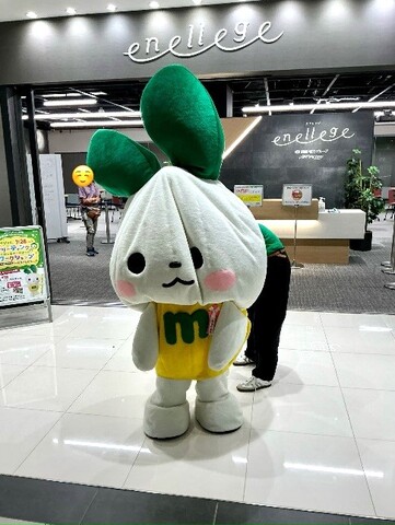 しぼんでしまったのでそそくさと帰るマイぴょん