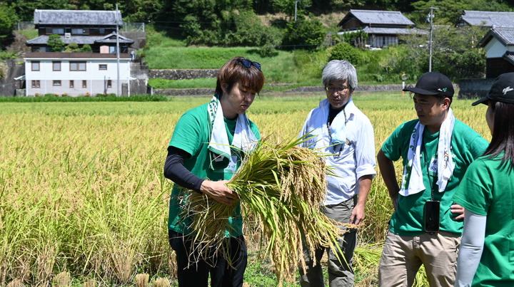 現場監督＠運営事務局に結い方を教えてもらって、頑張って結っている祭男＠運営事務局。