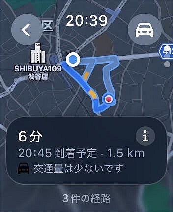 Apple Watchの「マップ」画面。移動してきた道のりを確認できる
