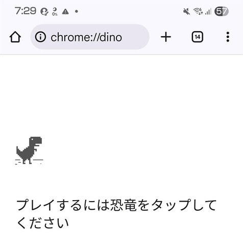 調べた範囲では正式名称は恐らく存在しないようで、日本では「恐竜ゲーム」と呼ぶのが一般的