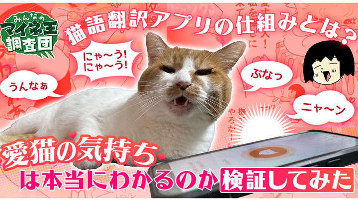 [https://king.mineo.jp/staff_blogs/2926 https://king.mineo.jp/staff_blogs/2926]