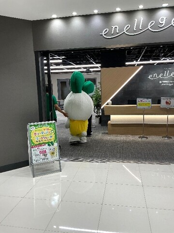 しぼんでしまったのでそそくさと帰るマイぴょん