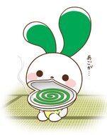 蚊取り線香マイぴょん