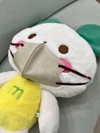 風邪ひいちゃった