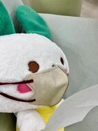 ファンレターを読むマイぴょん