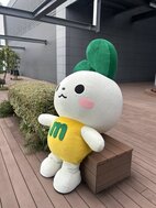 そろそろお洗濯？