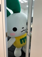 ズイ