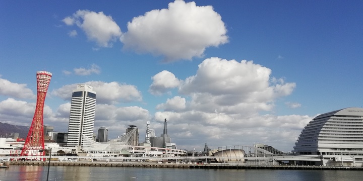 IMG_20190122_133314.jpg