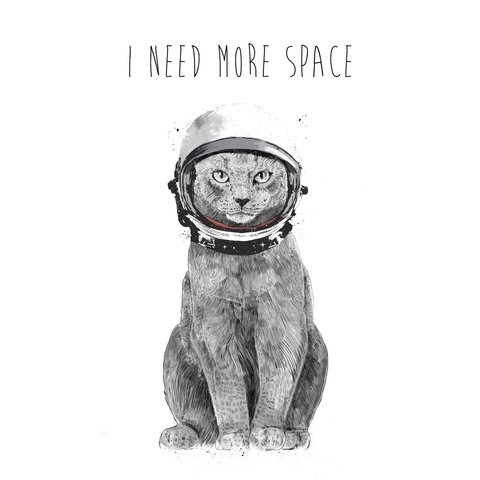 I_need_more_space11666_square.jpg