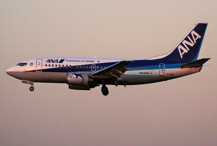 DSC_5400W10fstrtw_R.jpg