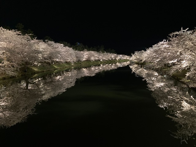 29871B08-76AB-4E69-B8C2-77B193D8F014.jpeg