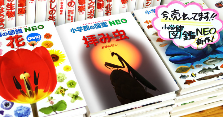図鑑・拝み虫_書店風.png