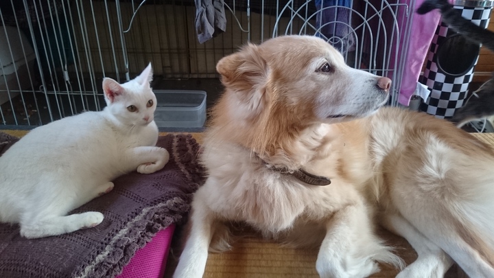 DSC_0196.jpeg
