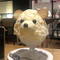 しらこ