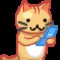 三毛猫mya