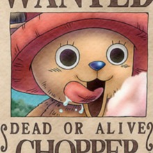 わたあめ大好きちょっぱー