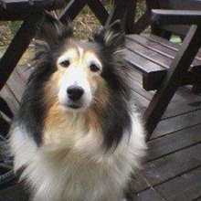 イブちゃん先生