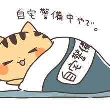 不器用ねこ