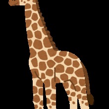 キリンさんがすきです