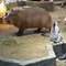 まさみき まさみき