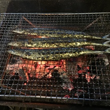 すわんずよっぴー