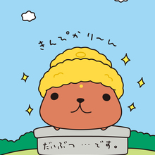 かんちゃん( ＾ω＾ )