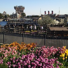 コボトケタロウ