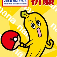 マイネ王 mineo
