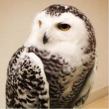 たと(トラック泊地)