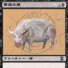 黄道の豚 / Zodiac Pig
