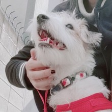 お魚てっちゃん