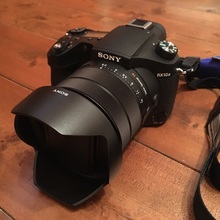 さくらのすけ7 マイネ王