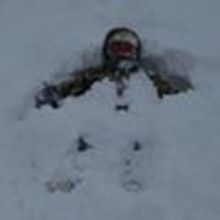 みどりのひでやん