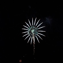 Gampsocleis ussuriensis