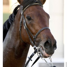 当たらない馬券師