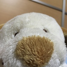 奥久慈しゃもにん