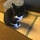 アルファセブン