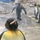 流浪のペンギン