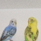 しゃもしゃも しゃもしゃも