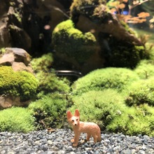 Mayu mama Mayu mama@マイネオ大好き