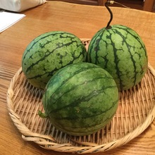 いまむーやん