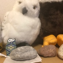 アンジュちゃん