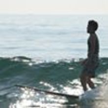 ざっきじょんそん