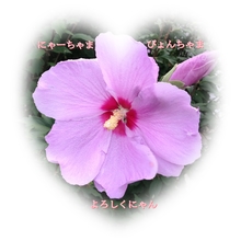 にゃーちゃま ぴょんちゃま