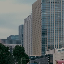 ぴーぴぴぴよこ