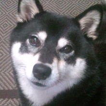 にこにこたっちゃん