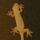やもり